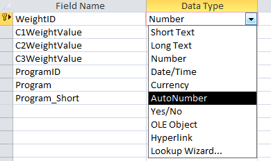 Access-AutoIncrementTable2