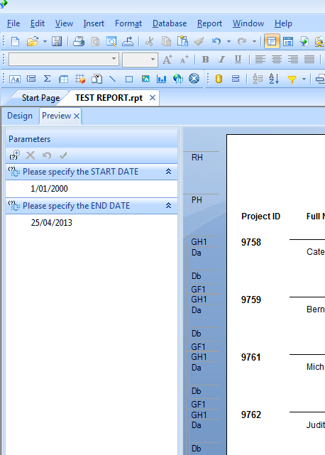 CrystalReports-DisplayViewPanel2