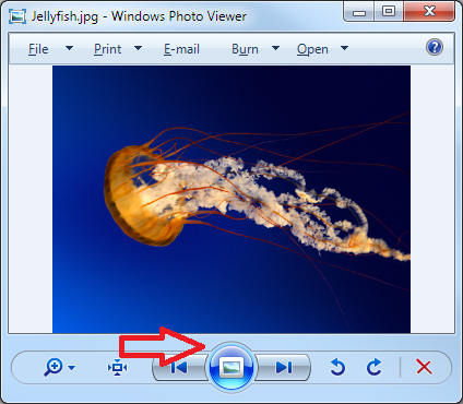 Windows7-PictureViewer1