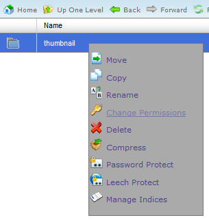 cPanel-FilePermissions2